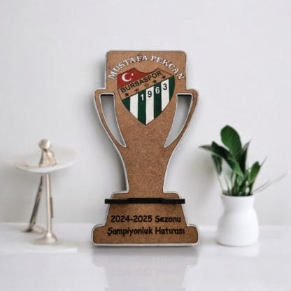 Bursaspor Kupa Telefonluk #sanaozel