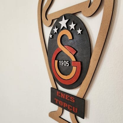 Galatasaray Kabartmalı Kupa Tablo - Görsel 2